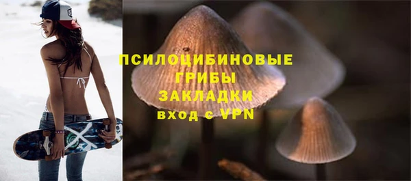 Альфа ПВП Горняк