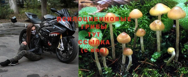 мескалин Гусев