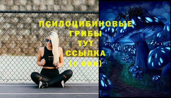 MDMA Premium VHQ Гусь-Хрустальный