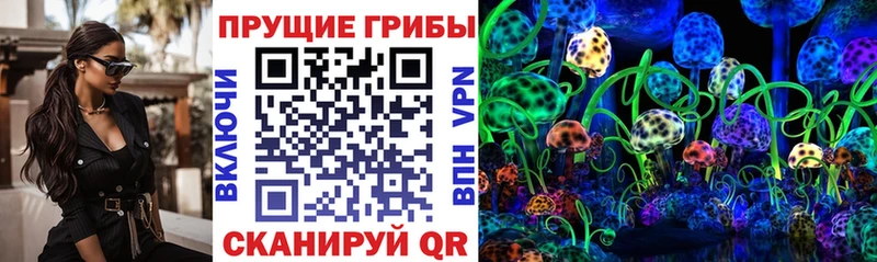Псилоцибиновые грибы прущие грибы  Купить закладки  Красный Холм 